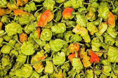 《杀手3 VR：重装上阵》公布新预告 将登录Meta Quest 3平台